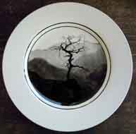 Craggy Tree Plate